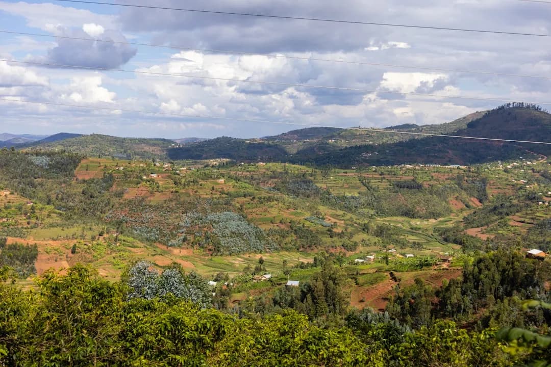 Rwanda safari landscape