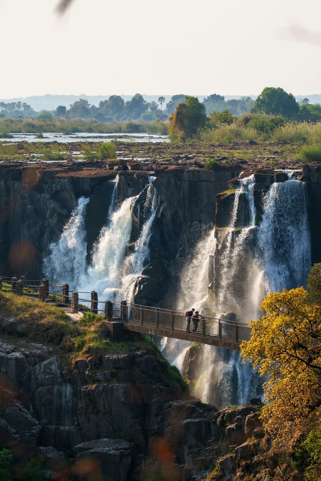 Zimbabwe safari landscape
